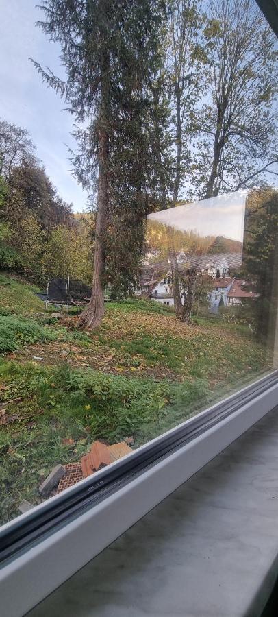 Sm Apartment Triberg im Schwarzwald Buitenkant foto